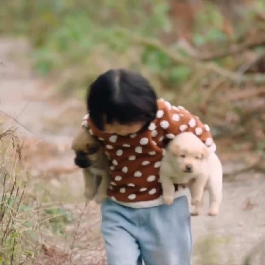 可爱萌娃瑶一瑶小肉包微信头像 肉嘟嘟的脸可爱头像_2