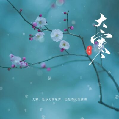 二十四节气之大寒文案配图适合发朋友圈
