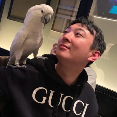 王思聪和他的鹦鹉合照大白凤头鹦鹉图片