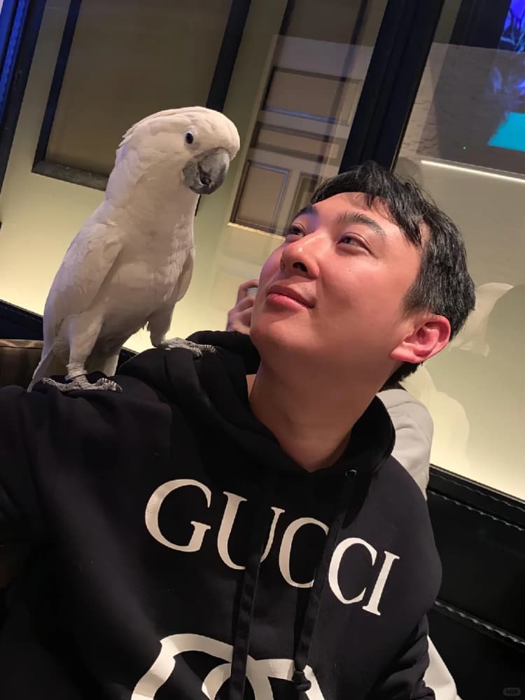 王思聪和他的鹦鹉合照大白凤头鹦鹉图片_1
