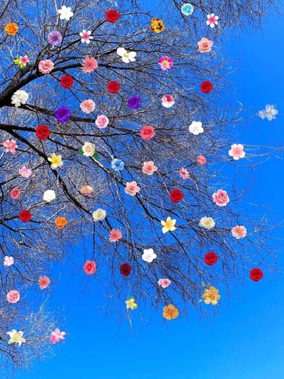未来可期充满希望的个性微信头像 枯木逢春好寓意头像_8