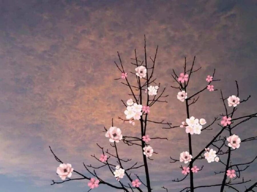 未来可期充满希望的个性微信头像 枯木逢春好寓意头像_12