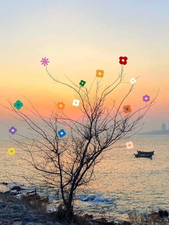 未来可期充满希望的个性微信头像 枯木逢春好寓意头像_14