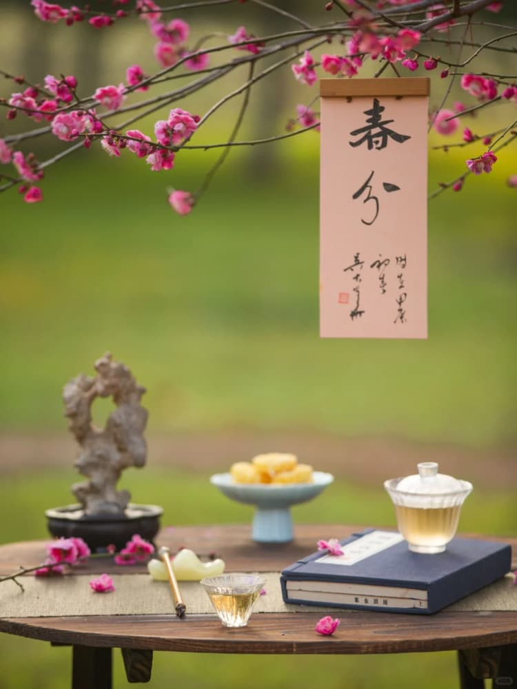 春分适合朋友圈唯美书法配图_5