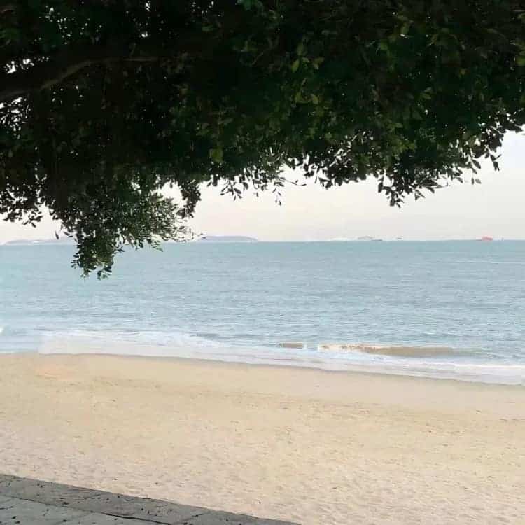 高级感治愈系ins风小众朋友圈景物配图_27