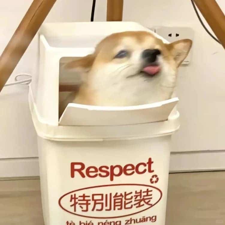 领导不敢委以重任一看就不放心的打工人头像_11