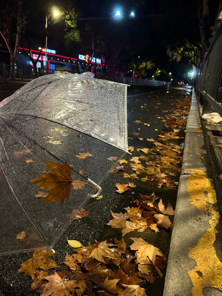 下雨天路边街道枫叶雨伞氛围感唯美图片_12