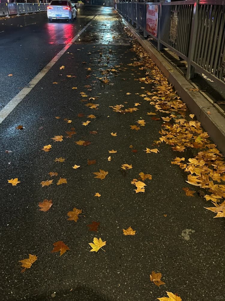 下雨天路边街道枫叶雨伞氛围感唯美图片_11