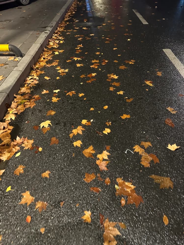 下雨天路边街道枫叶雨伞氛围感唯美图片_10