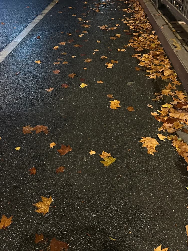 下雨天路边街道枫叶雨伞氛围感唯美图片_9