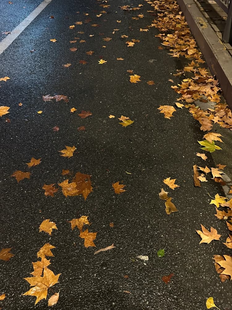 下雨天路边街道枫叶雨伞氛围感唯美图片_8