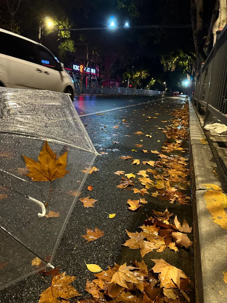 下雨天路边街道枫叶雨伞氛围感唯美图片_5