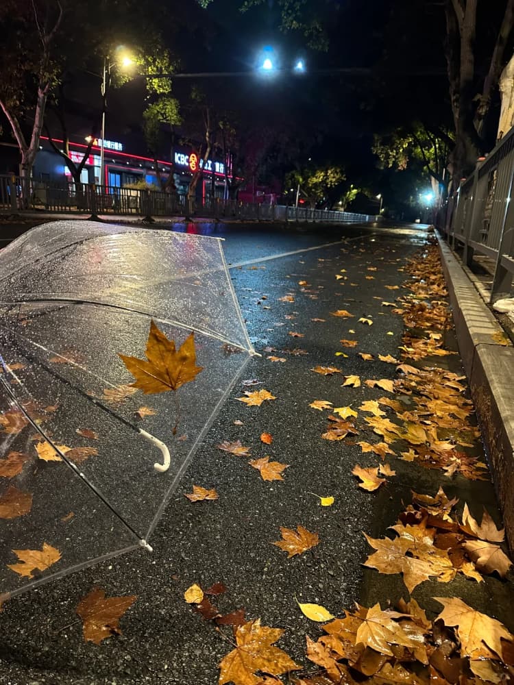 下雨天路边街道枫叶雨伞氛围感唯美图片_4