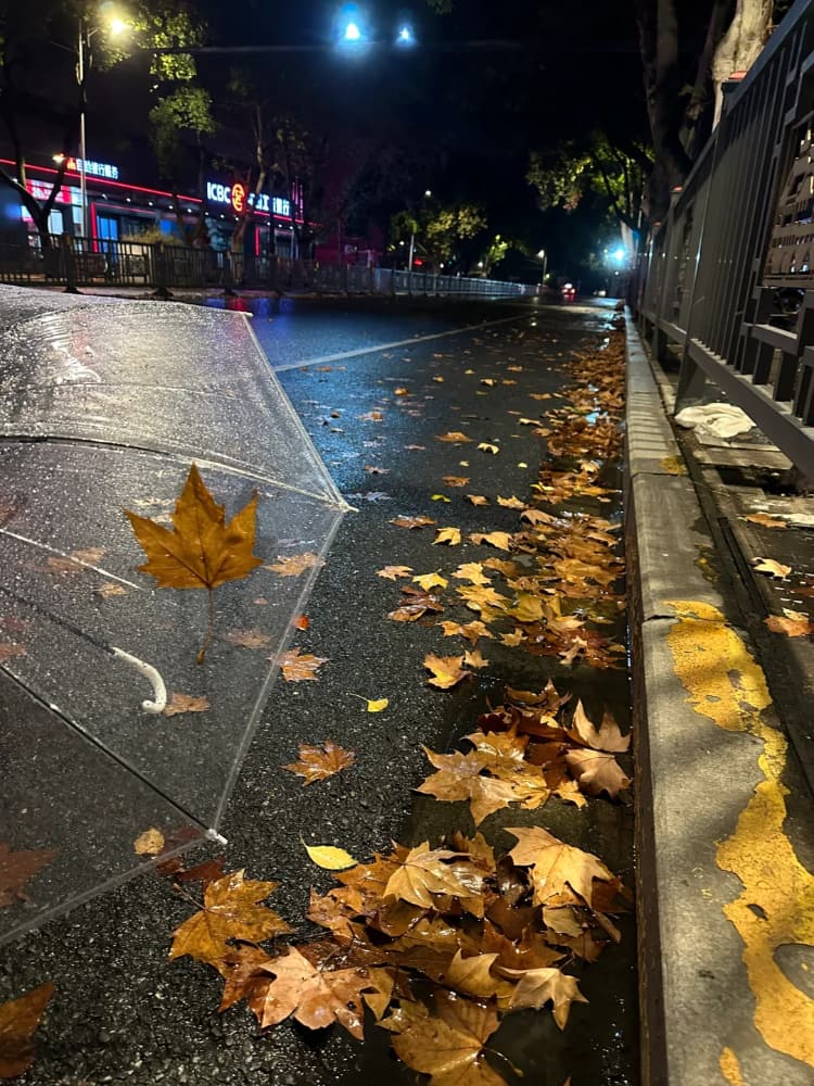 下雨天路边街道枫叶雨伞氛围感唯美图片_2