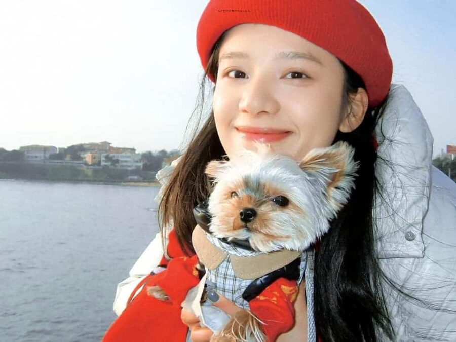 女明星张婧仪氛围感复古头像图_8