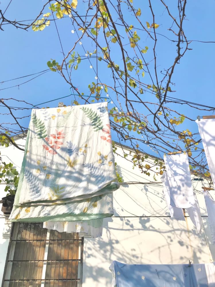 阳光梦幻治愈好天气绿绿的图片_2