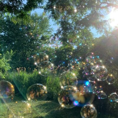 阳光梦幻治愈好天气绿绿的图片