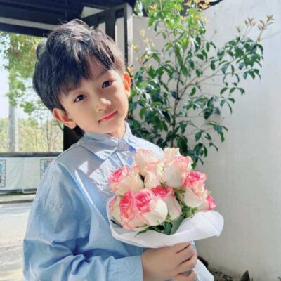 刘亦菲同款小男孩捧花微信头像