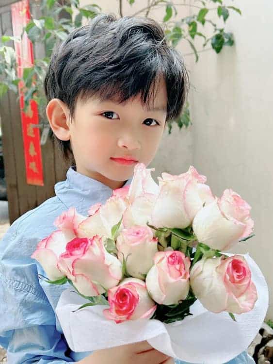 刘亦菲同款小男孩捧花微信头像_11