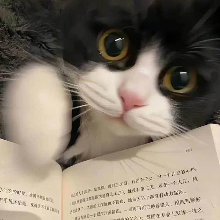 朋友圈黑白灰简约高级小众背景配图_11
