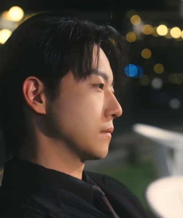 疯狗硬汉爹系男友短剧男星甄子琦头像_2