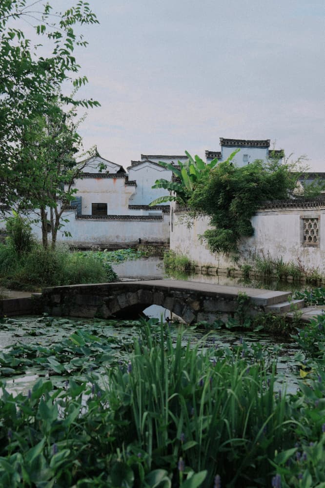 李现摄影图片这摄影水平怎么样？_7