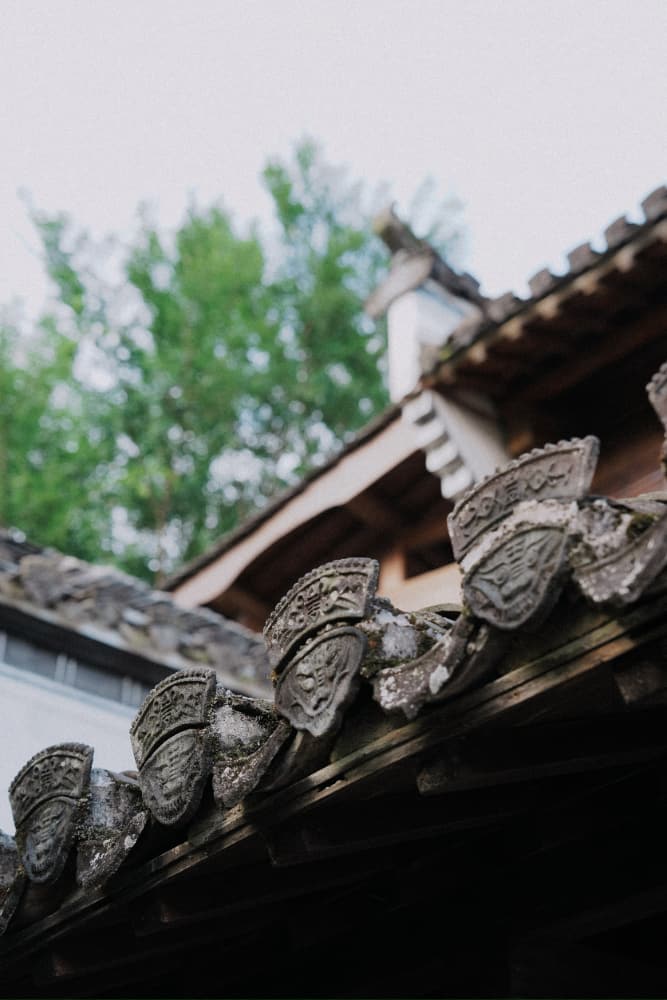 李现摄影图片这摄影水平怎么样？_8