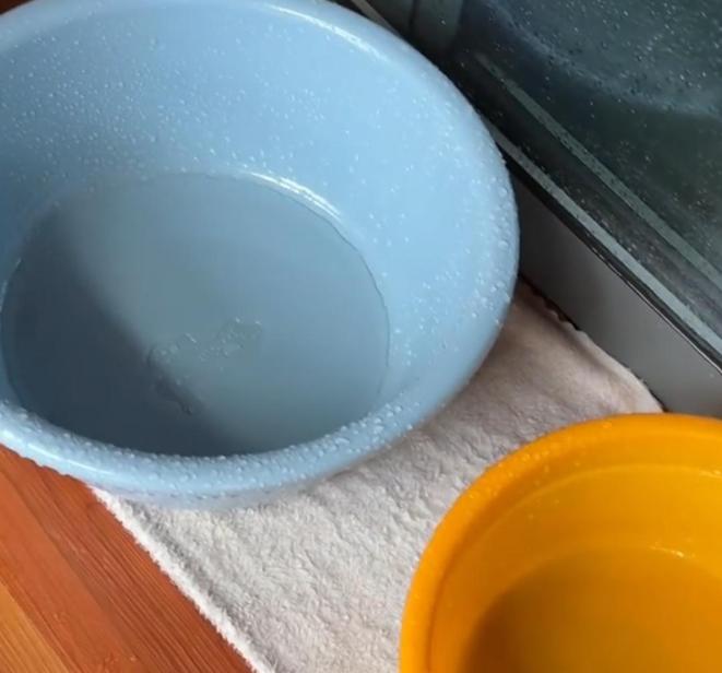 陈龙漏雨在家撑伞图片_1