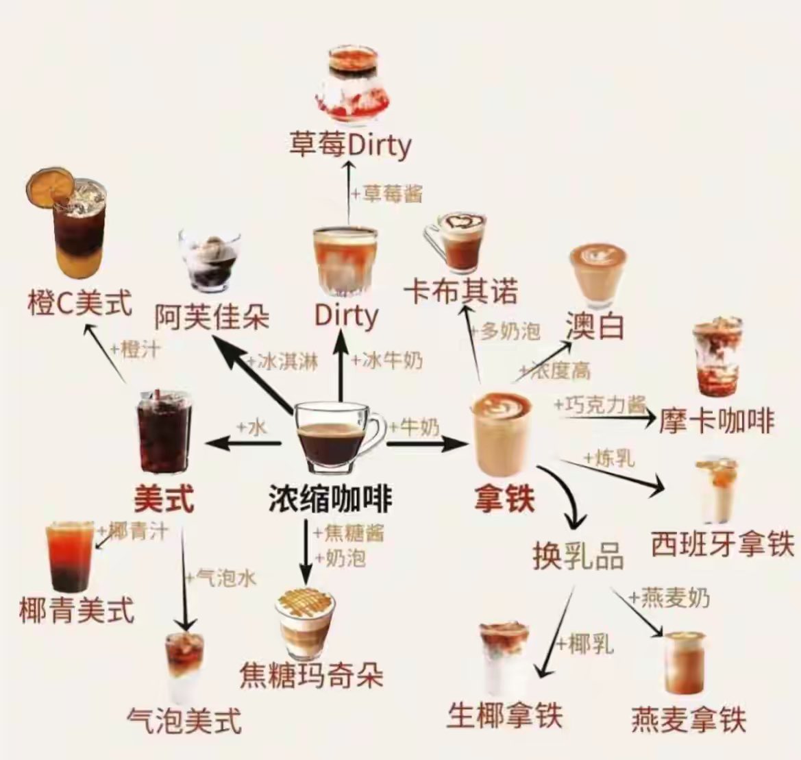 咖啡种类分支大全图片_1