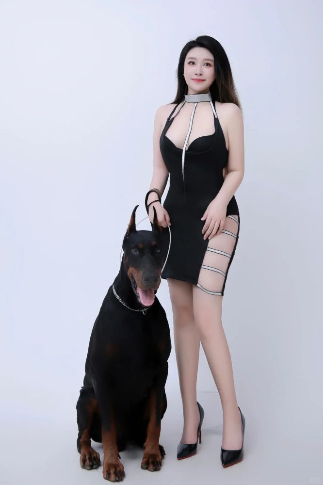 美女和狗狗写真图片,哪种狗最适合女人自己用？_1