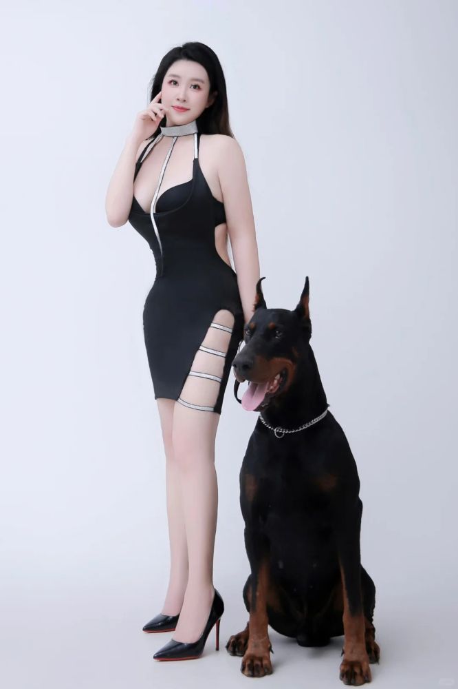 美女和狗狗写真图片,哪种狗最适合女人自己用？_2