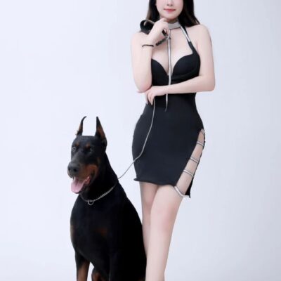 美女和狗狗写真图片,哪种狗最适合女人自己用？