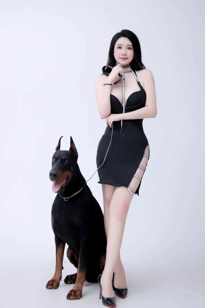 美女和狗狗写真图片,哪种狗最适合女人自己用？_3