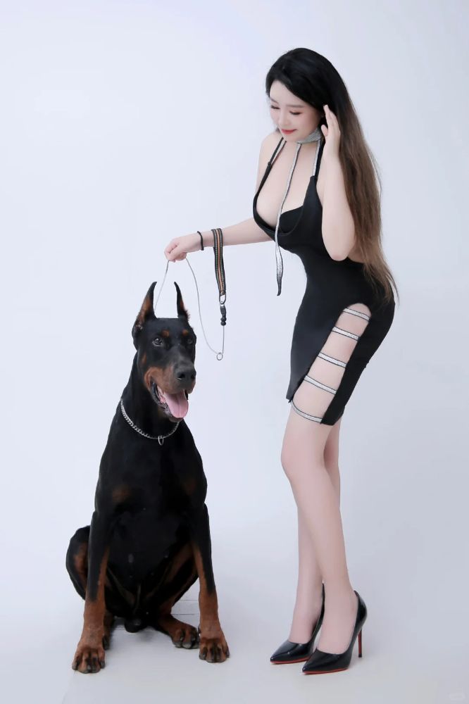 美女和狗狗写真图片,哪种狗最适合女人自己用？_4