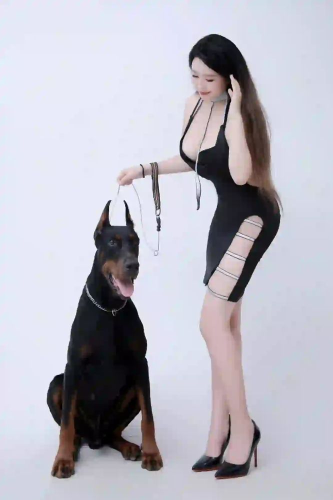 美女和狗狗写真图片,哪种狗最适合女人自己用？_5