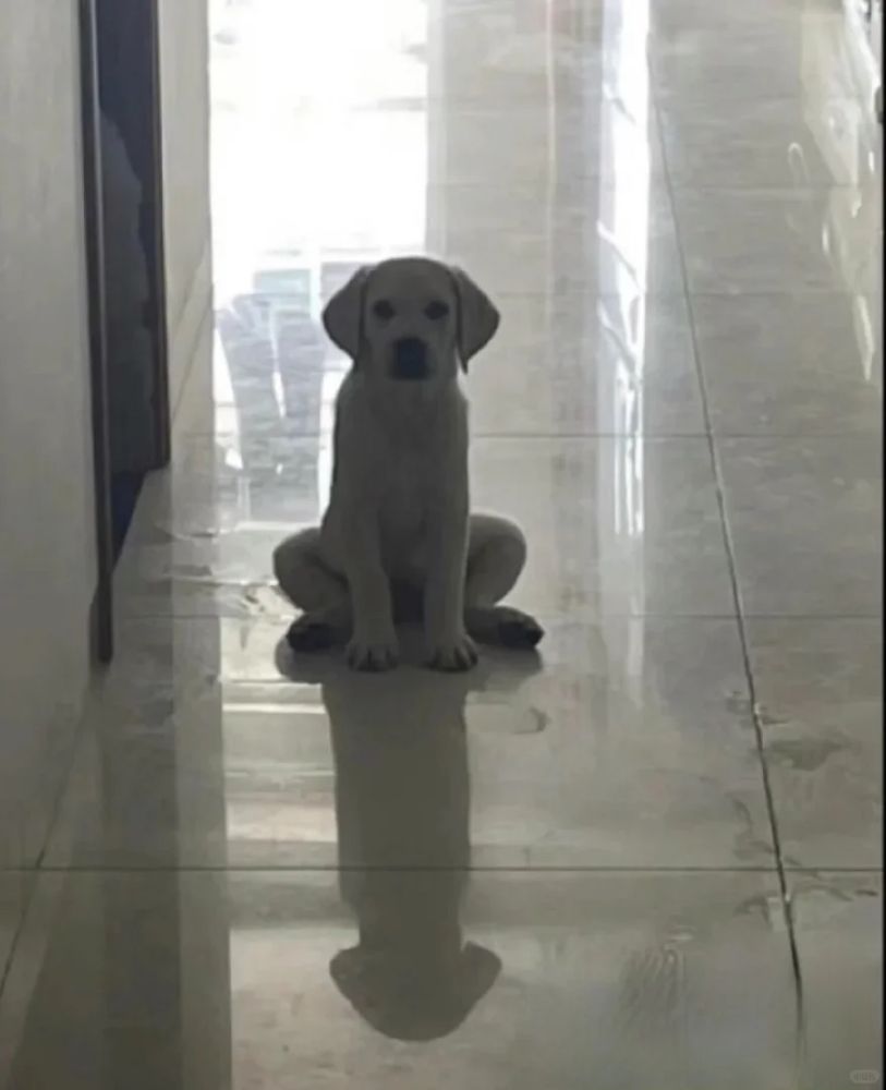 花洛莉亚唇蜜被指擦边的产品图片_2