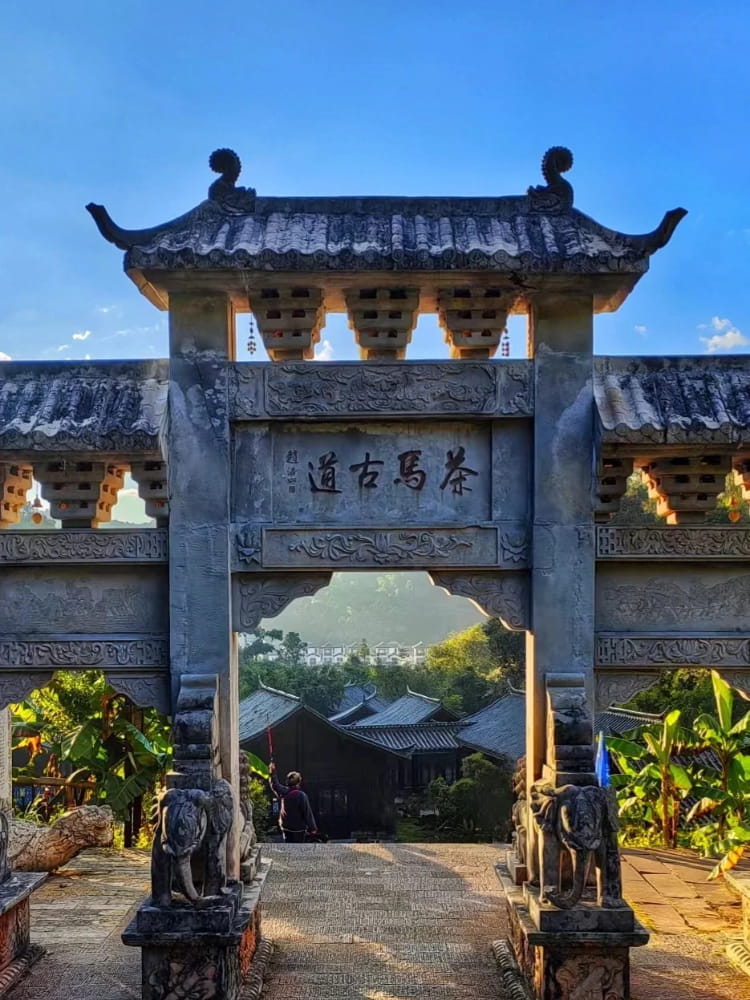 《洪武大案》的茶马生意为何暴利为什么禁止不让做？_1