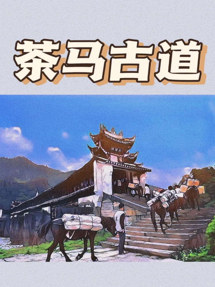 《洪武大案》的茶马生意为何暴利为什么禁止不让做？_3