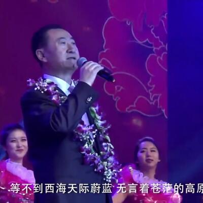 王健林为什么会喜欢刀郎《西海情歌》这首歌？