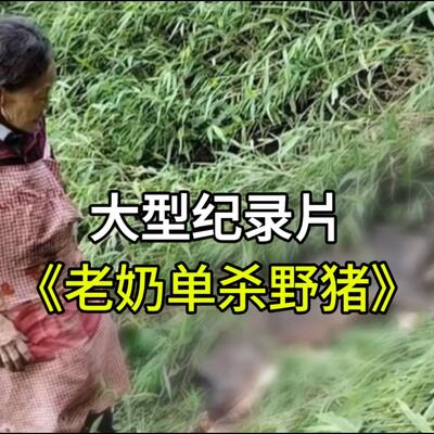 人和野猪谁厉害？七旬老奶奶单杀野猪