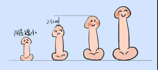 女孩子爱吃男生的胡萝卜吗？女人吃萝卜暗示什么含义？_1