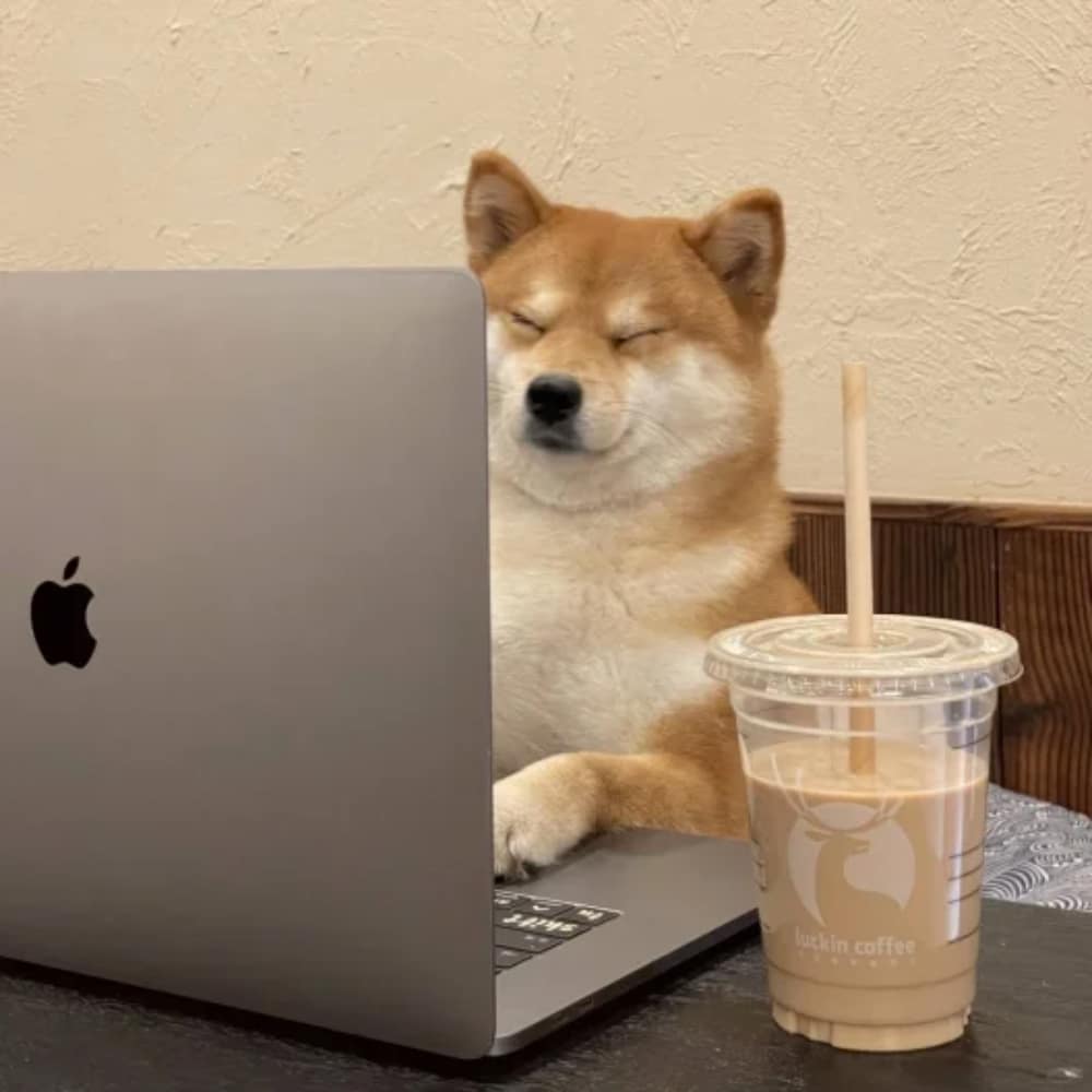 柴犬喝咖啡打电脑打工人头像图片