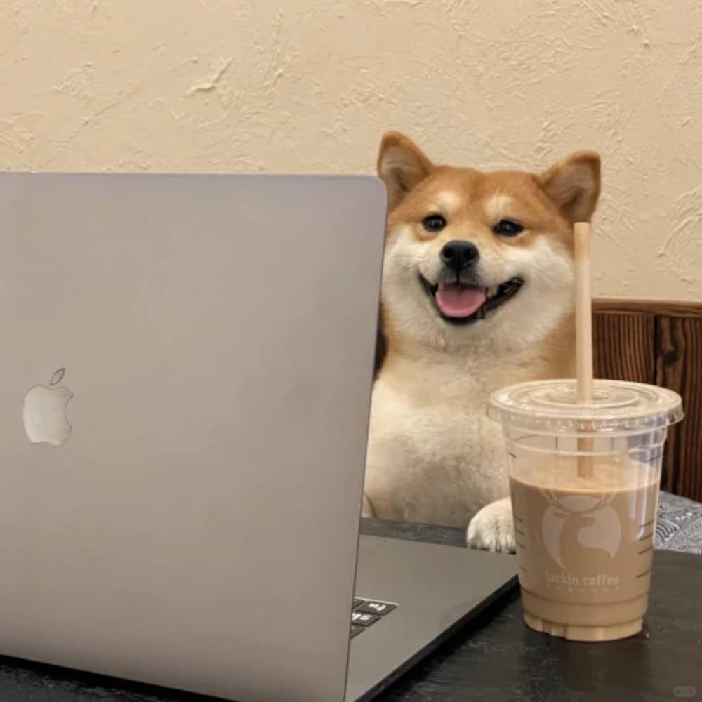 柴犬喝咖啡打电脑打工人头像图片_4
