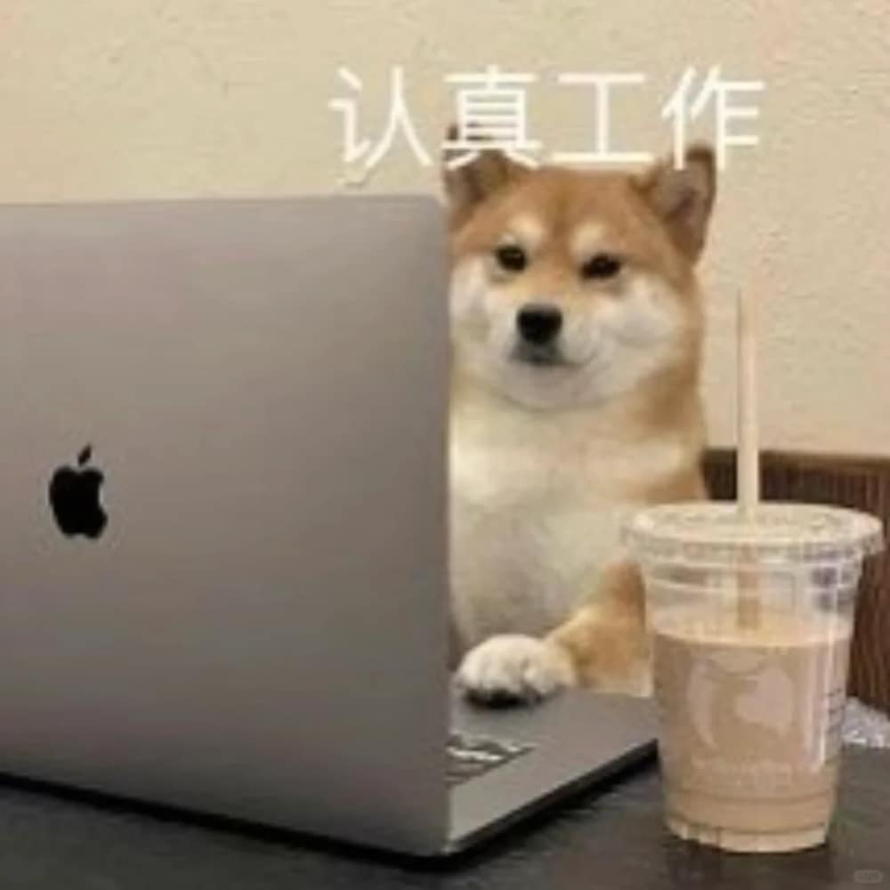 柴犬喝咖啡打电脑打工人头像图片_7