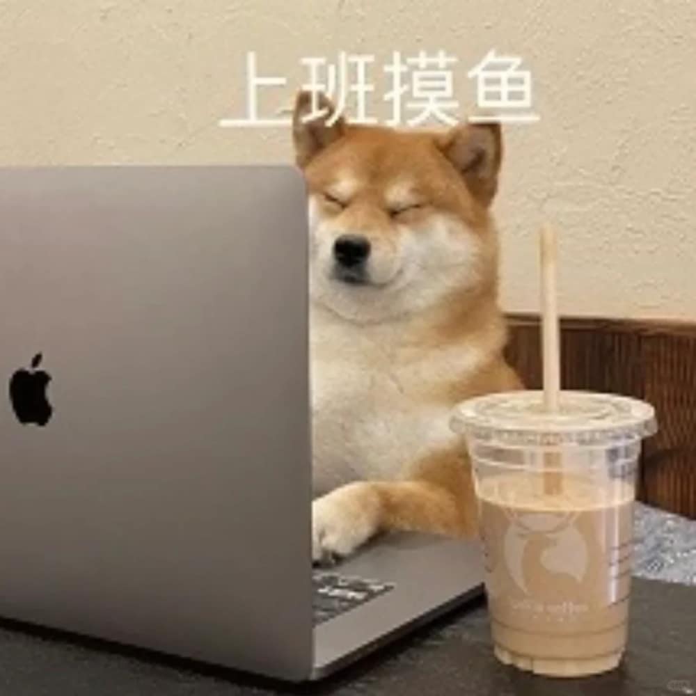 柴犬喝咖啡打电脑打工人头像图片_8