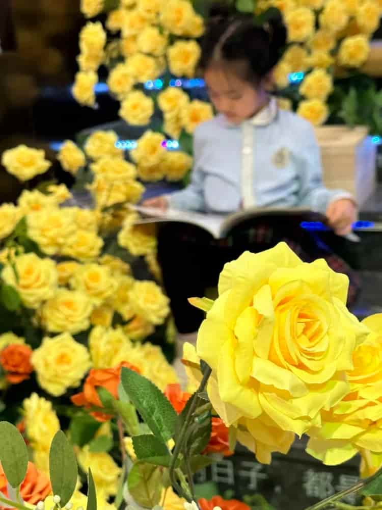 哈尔滨的冰封玫瑰惊艳图片_9