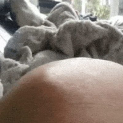肚皮被顶的一鼓一鼓的胎动动态图