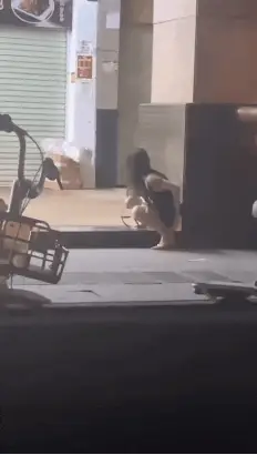 女生随地大小便动态图_1