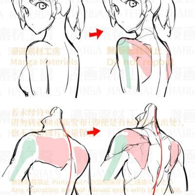 日本网友分享的二次元动漫人物肩胛的画法图文教程
