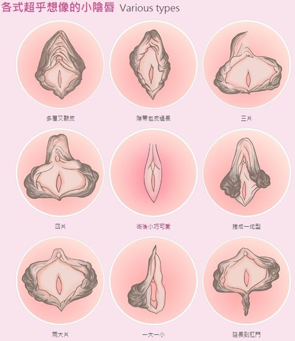 女性十二种玉门照片_1